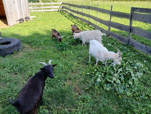 Un endroit pour se ressourcer