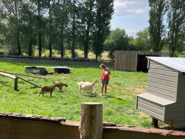 Animaux camping des Tourbières