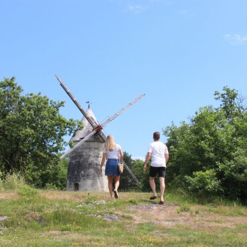 Moulin des terres blanches