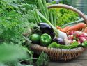 Panier de légumes